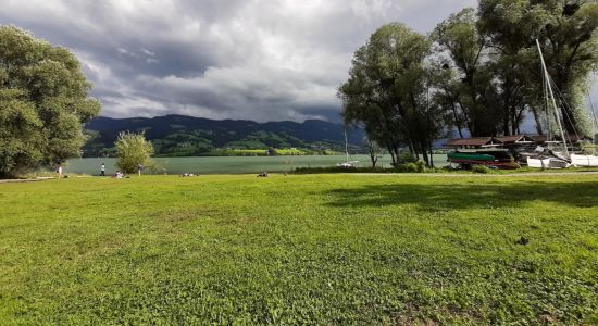 Plage Lac Gruyere