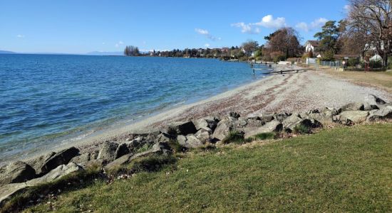 Plage du Pelican