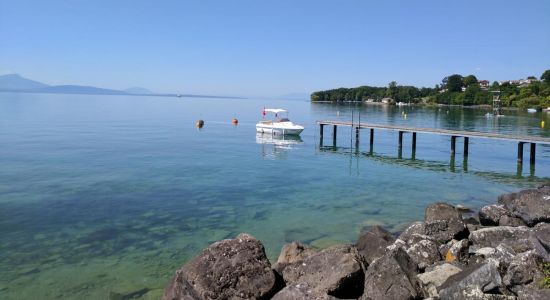 Bain des Dames