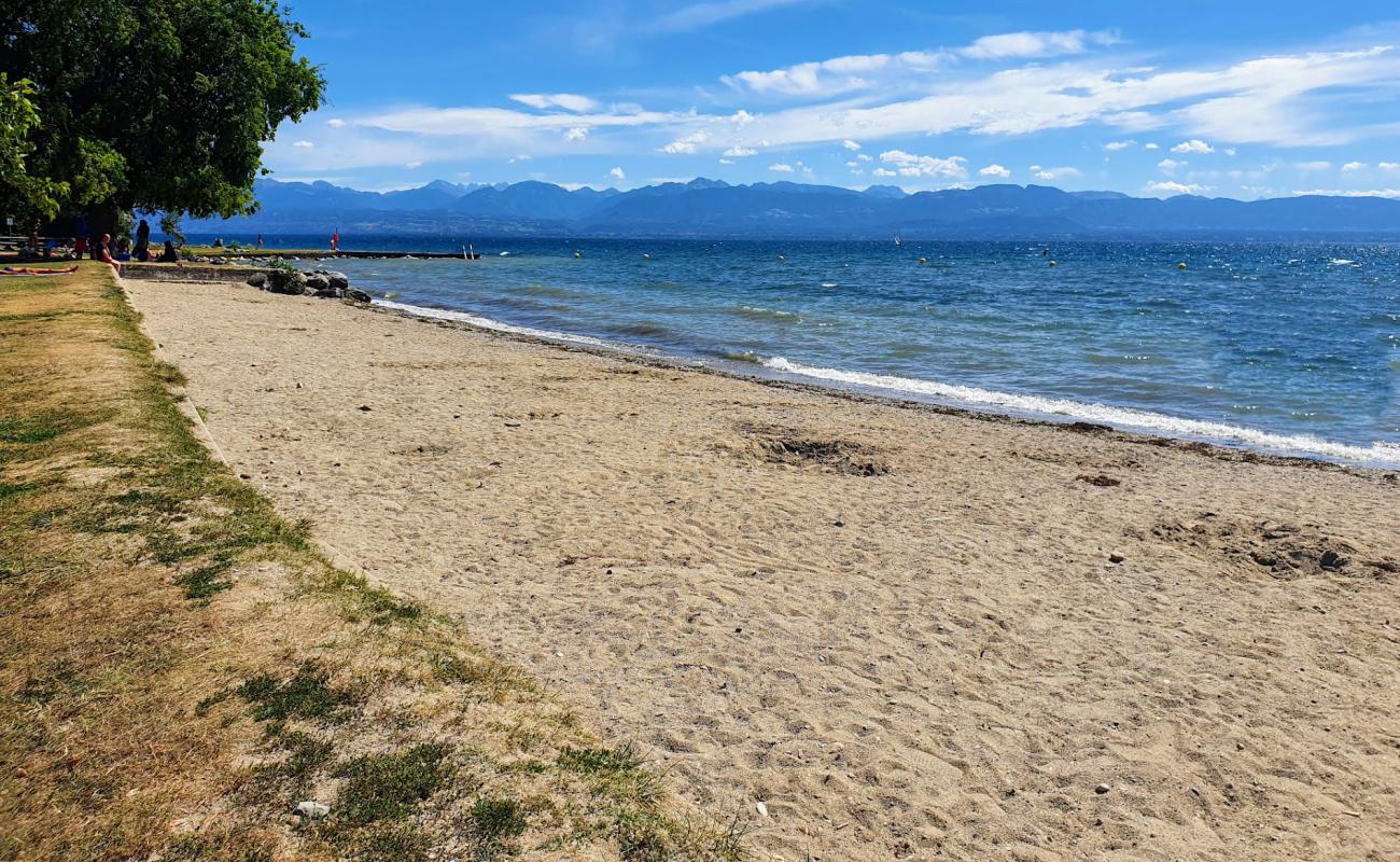 Фото Plage de Rolle с светлый песок поверхностью