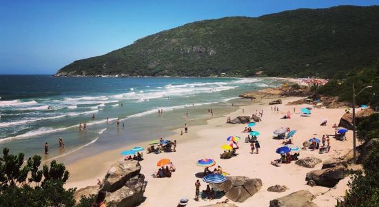 Praia do Matadeiro