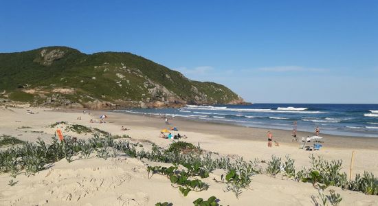 Praia do Santinho