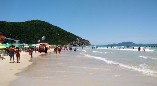 Praia Brava