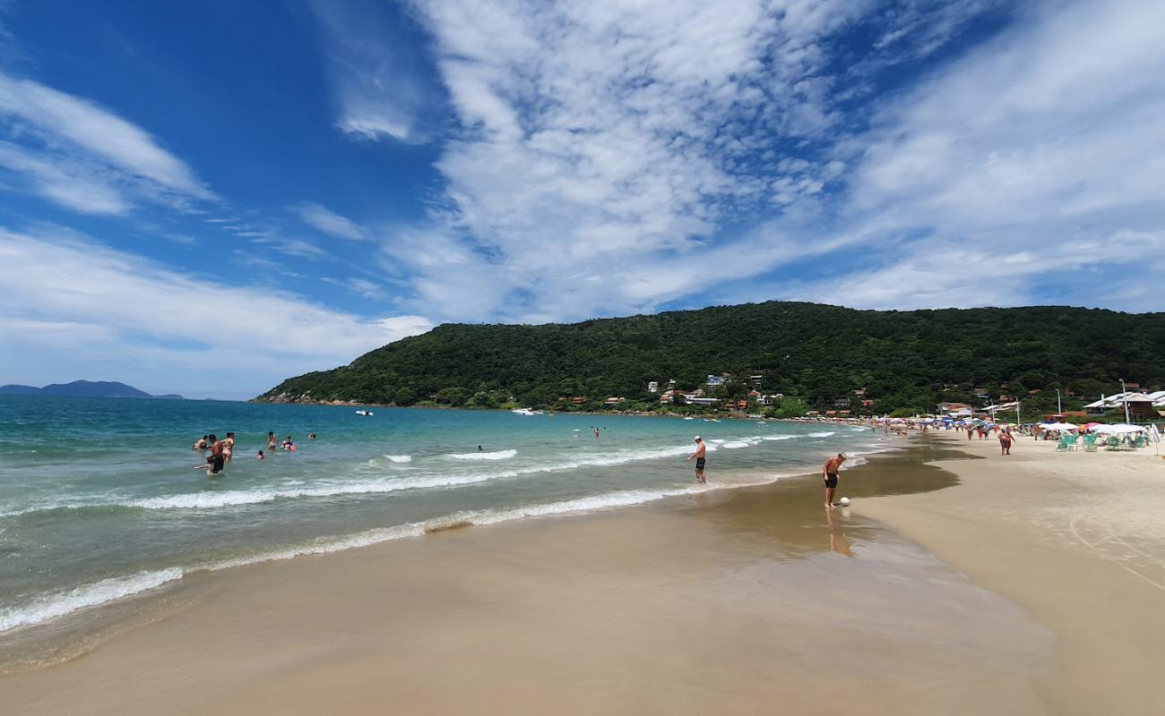 Фото Praia da Ponta das Canas с золотистый песок поверхностью