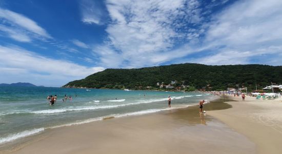 Praia da Ponta das Canas