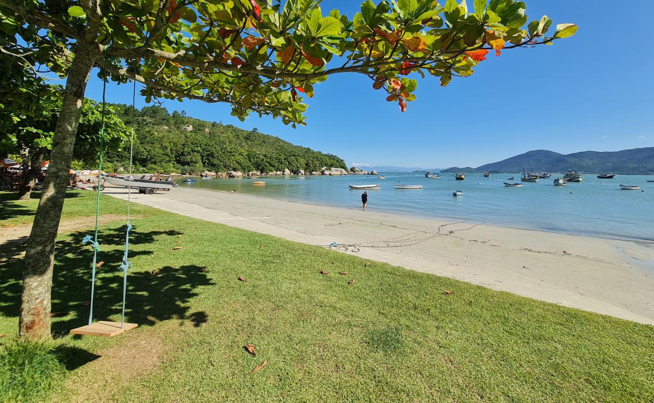 Фото Praia da Armacao da Piedade с светлый песок поверхностью