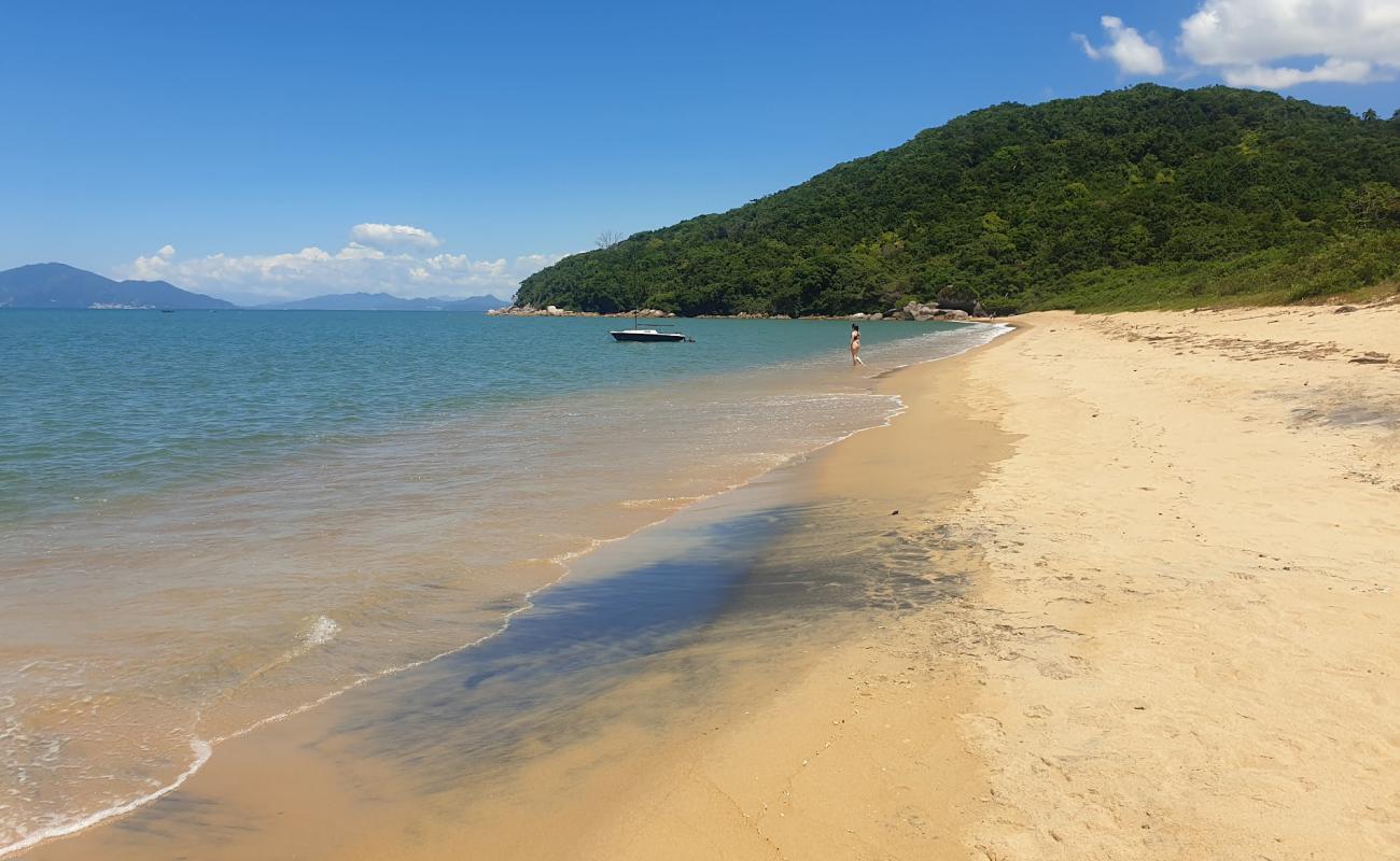 Фото Praia da Lagoa с светлый песок поверхностью