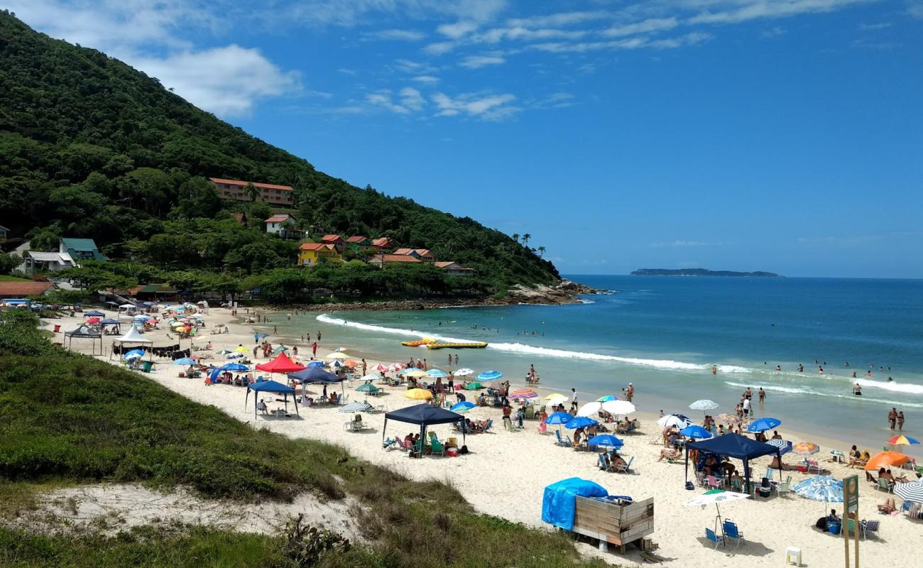 Фото Praia Quatro Ilhas с золотистый песок поверхностью