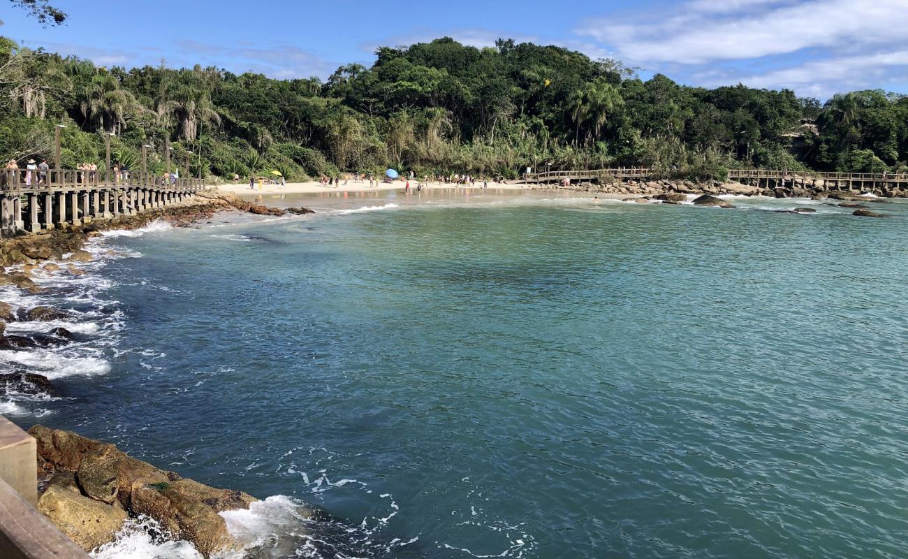 Фото Praia do Ribeiro с светлый песок поверхностью