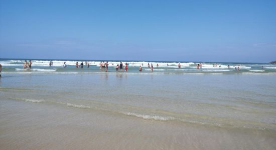 Praia das Pitangueiras