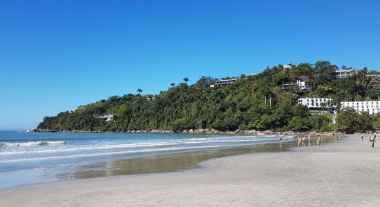 Praia das Toninhas