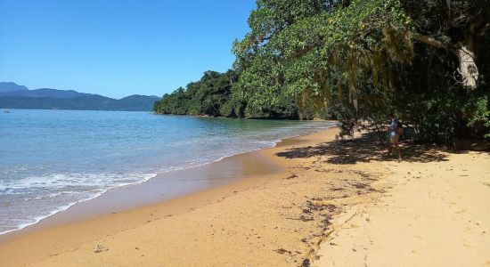 Praia do Rosa