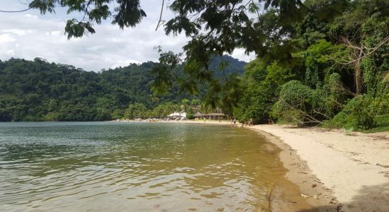 Praia do Tangua