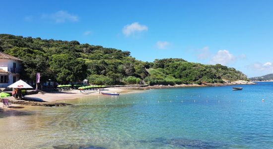 Praia da Azeda