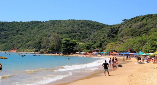 Praia da Tartaruga