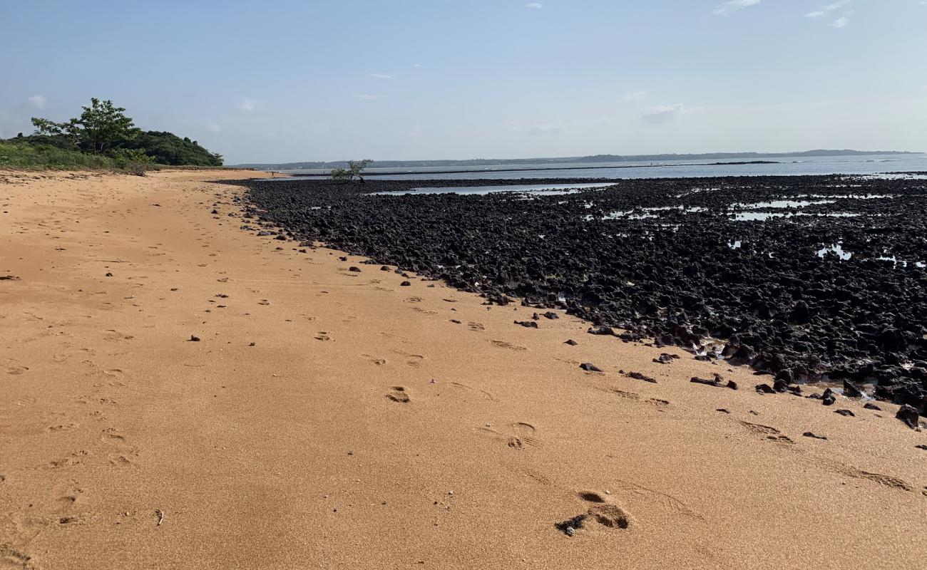 Фото Praia de marte с светлый песок поверхностью