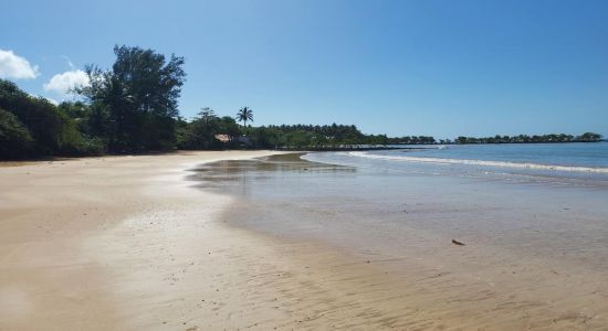 Praia da Biologia