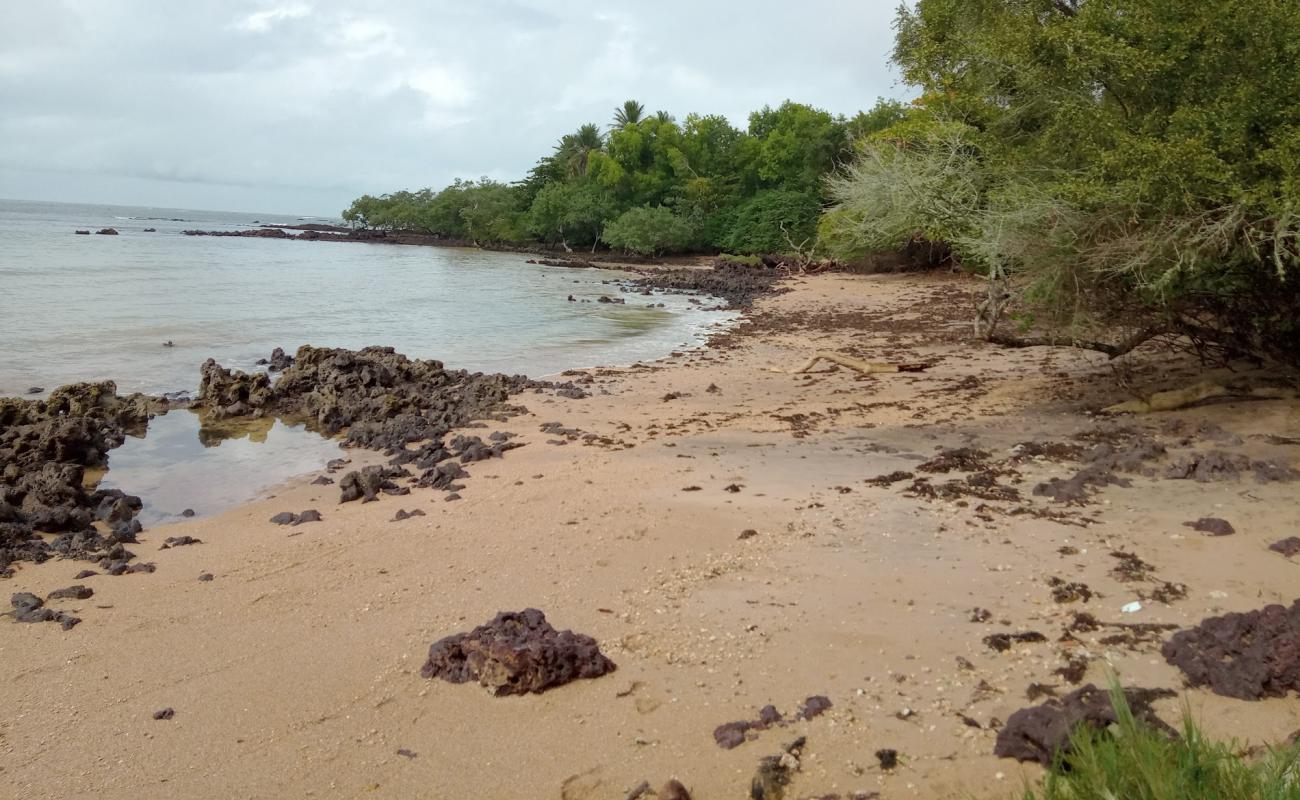 Фото Praia da Maracapeba с светлый песок поверхностью