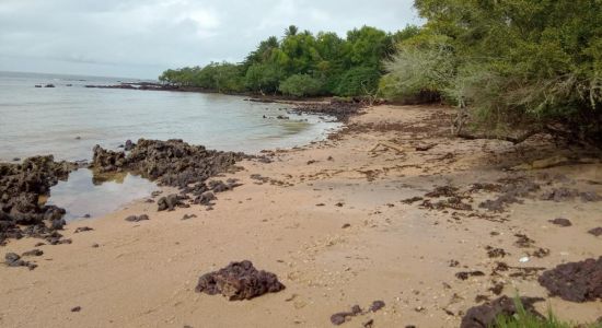 Praia da Maracapeba