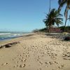 Praia Dos Coqueiros