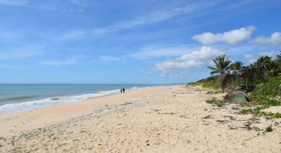 Praia Das Amendoeiras