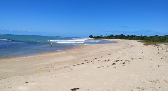 Praia de Ipatimirim