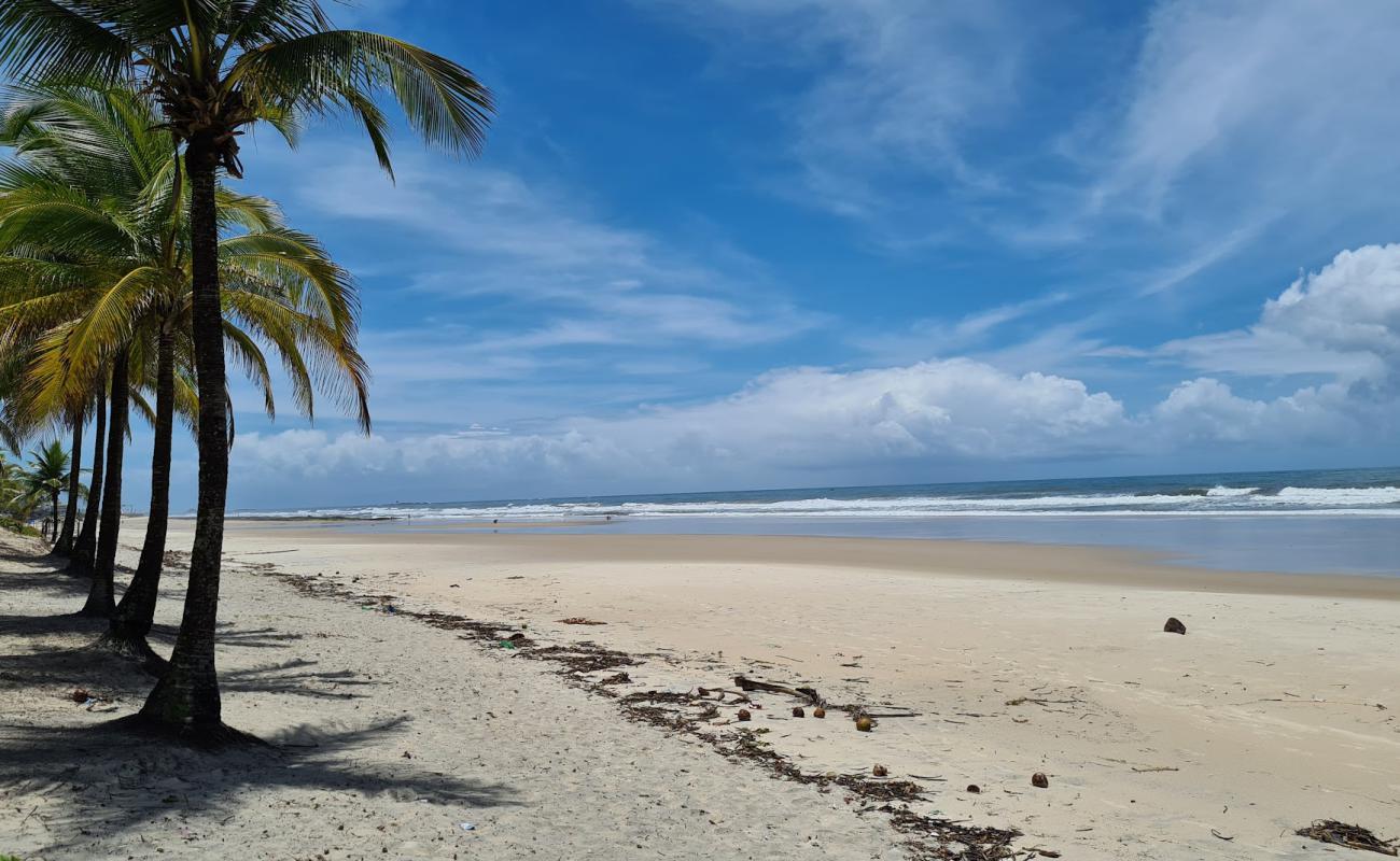 Фото Praia do Sul с золотистый песок поверхностью