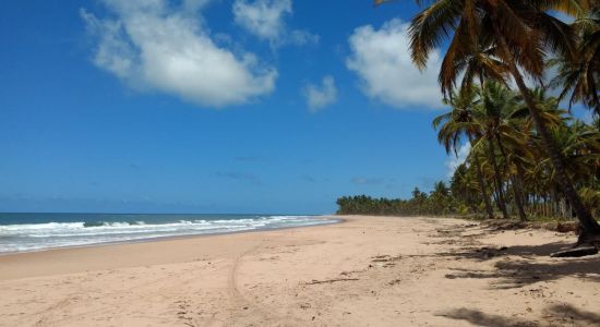 Praia De Barra Grande