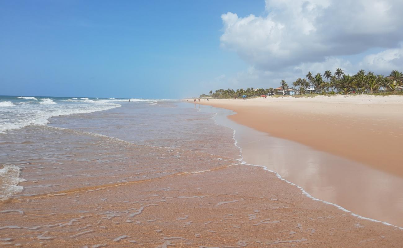 Фото Praia do Caribinho с светлый песок поверхностью