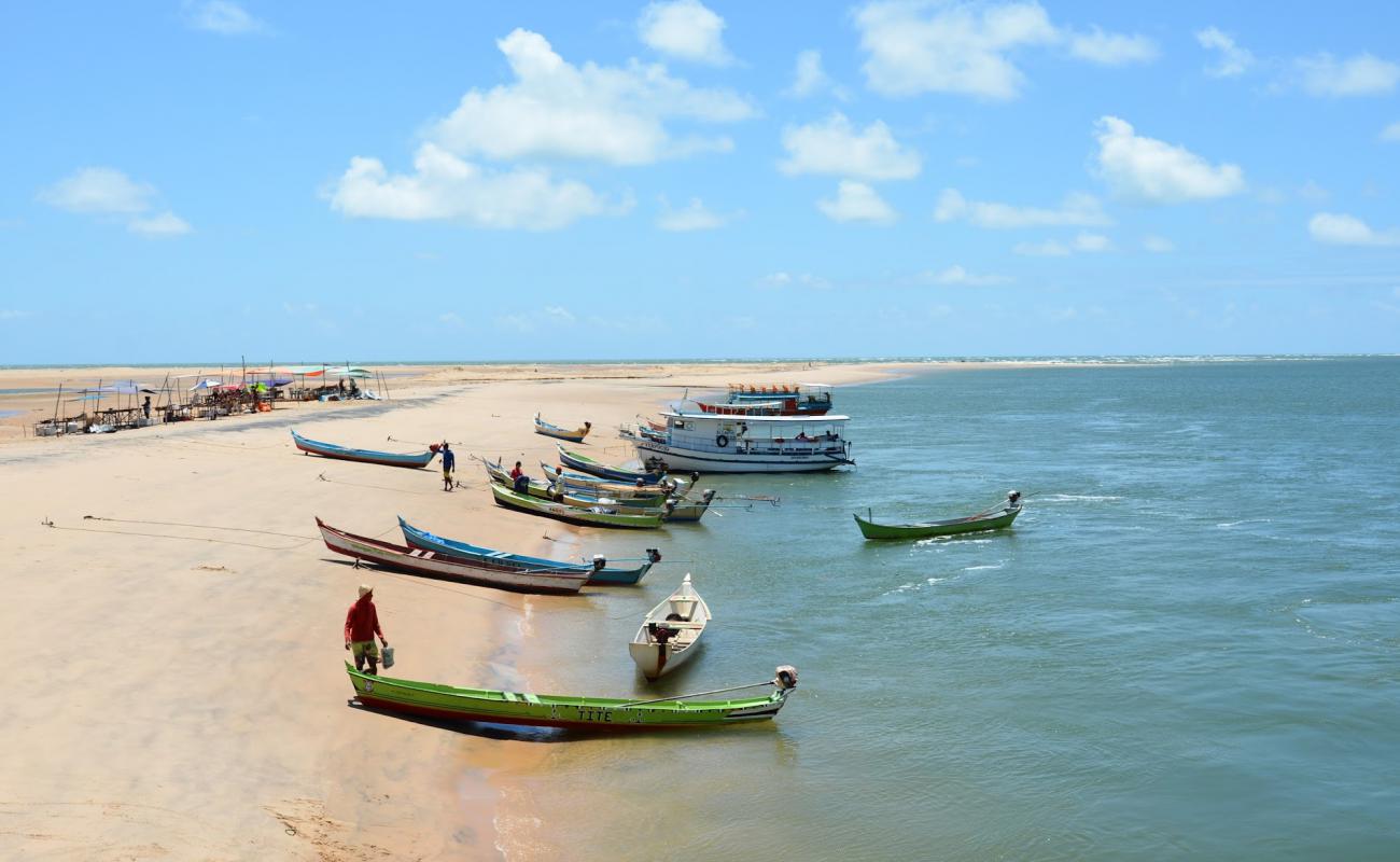 Фото Praia do Peba с золотистый песок поверхностью