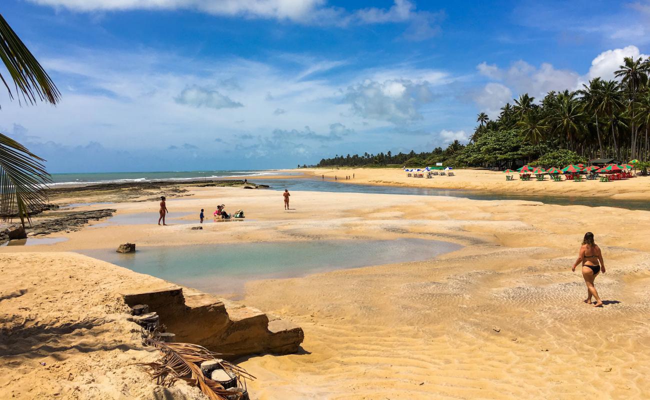 Фото Praia de Dunas de Marape с светлый песок поверхностью