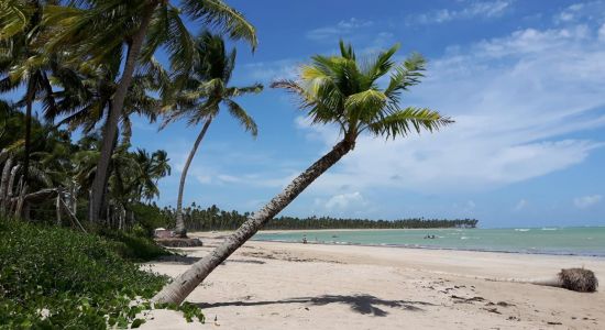 Praia do Patacho