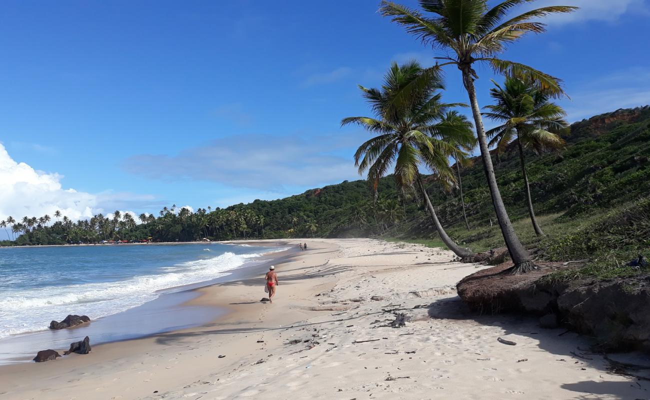 Фото North Coqueirinho Beach с светлый песок поверхностью