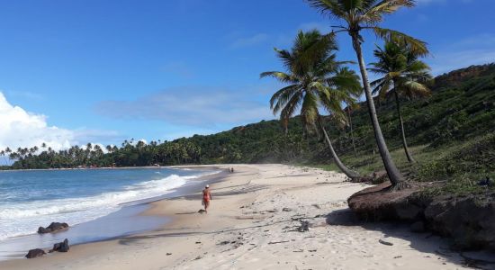 North Coqueirinho Beach