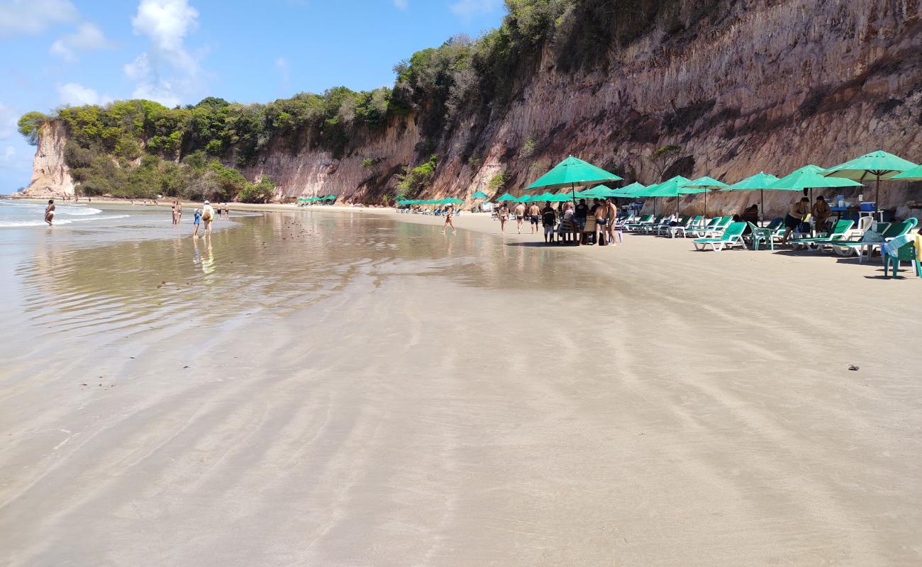 Фото Praia Baia dos Golfinhos Pipa с светлый песок поверхностью