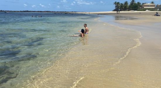 Praia das Tartarugas