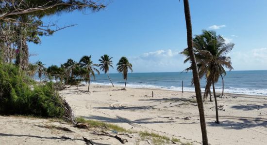 Praia de Pico das Almas