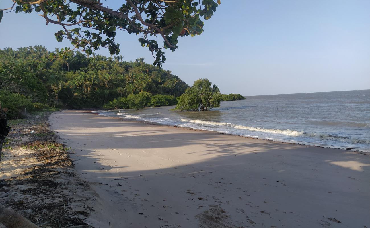 Фото Praia do Leste с светлый песок поверхностью