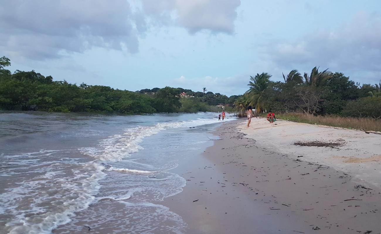 Фото Praia da Guia с светлый песок поверхностью