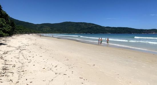 Praia de Lopes Mendes