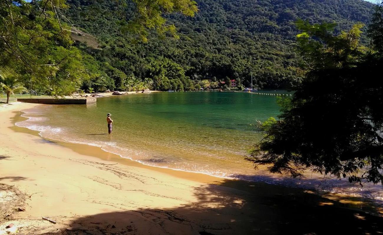 Фото Praia da Longa с светлый песок поверхностью