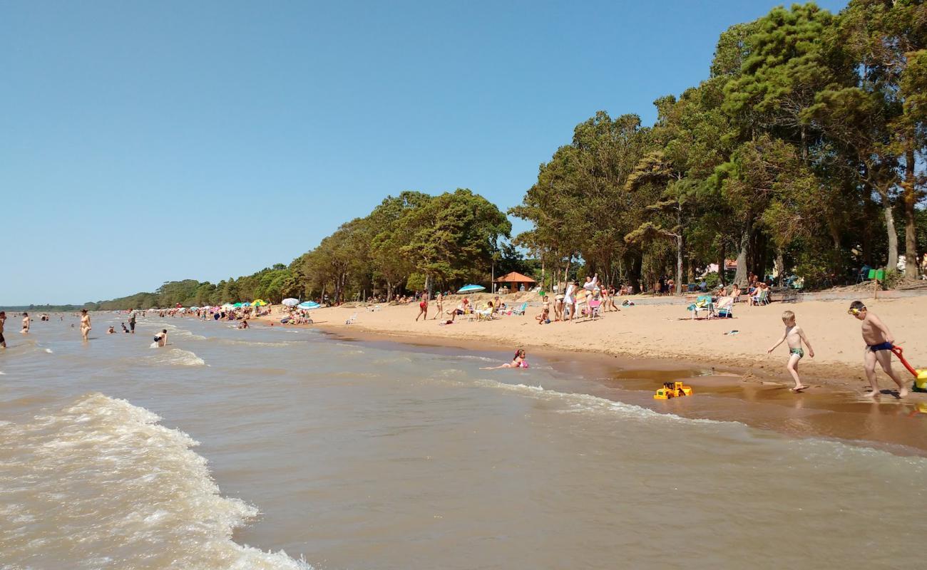 Фото Arambare Beach с светлый песок поверхностью