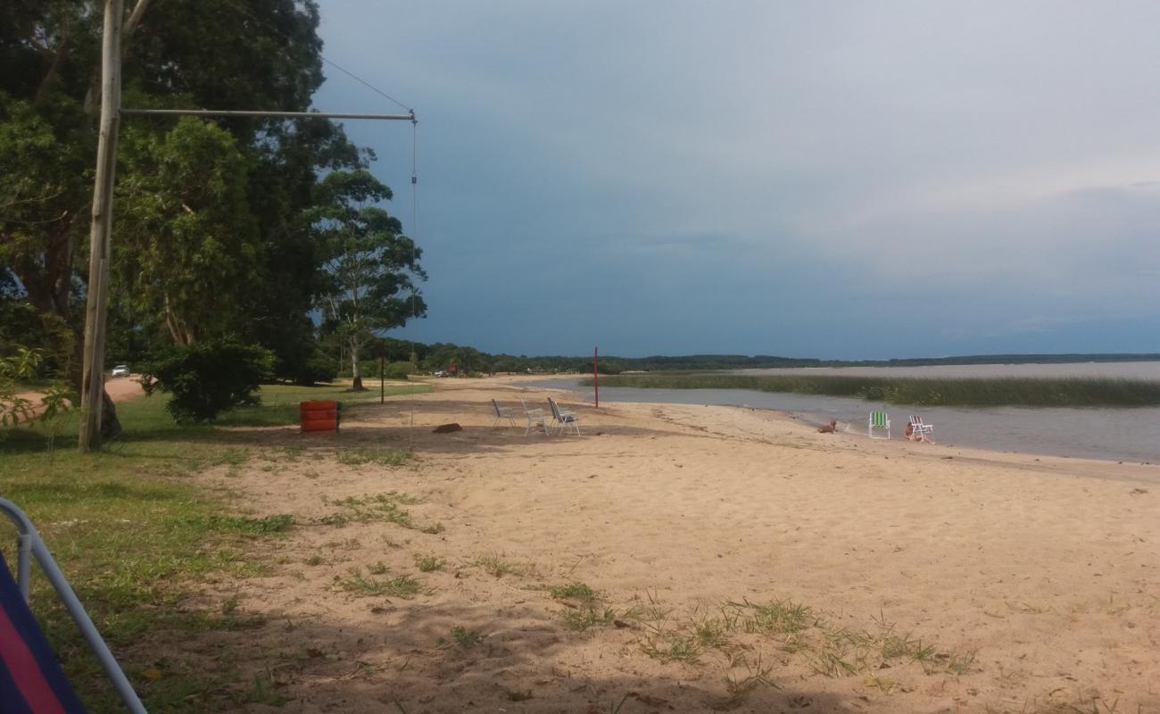 Фото Praia Da Garca. с светлый песок поверхностью