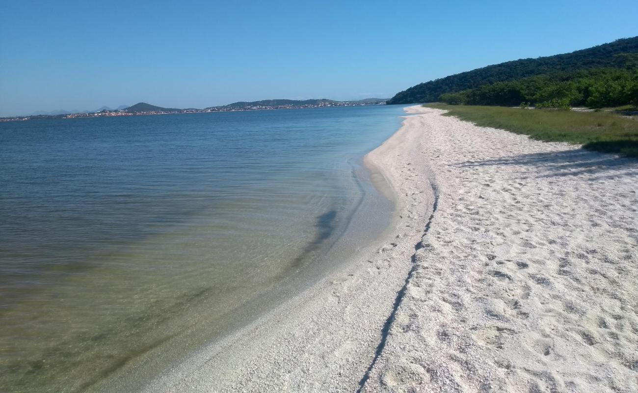 Фото Ponta da Farinha с золотой ракушечник поверхностью