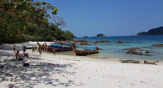 Monkey Beach