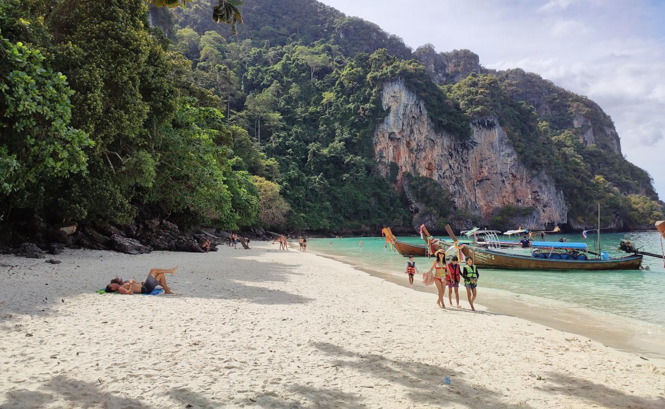 Фото Monkey Beach с белый чистый песок поверхностью