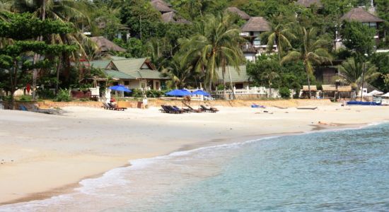 Idyllic Samui Beach