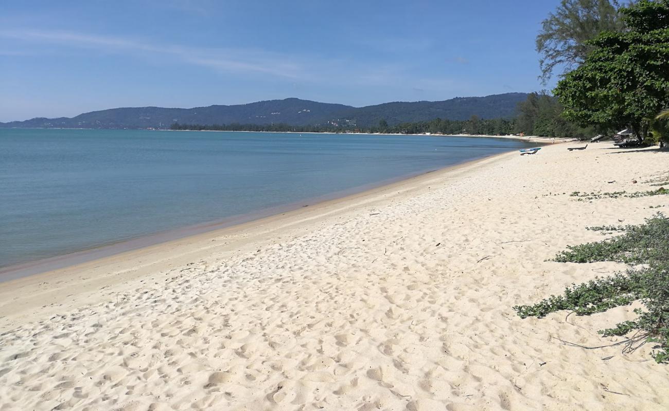 Фото Lipa Noi Beach с светлый песок поверхностью