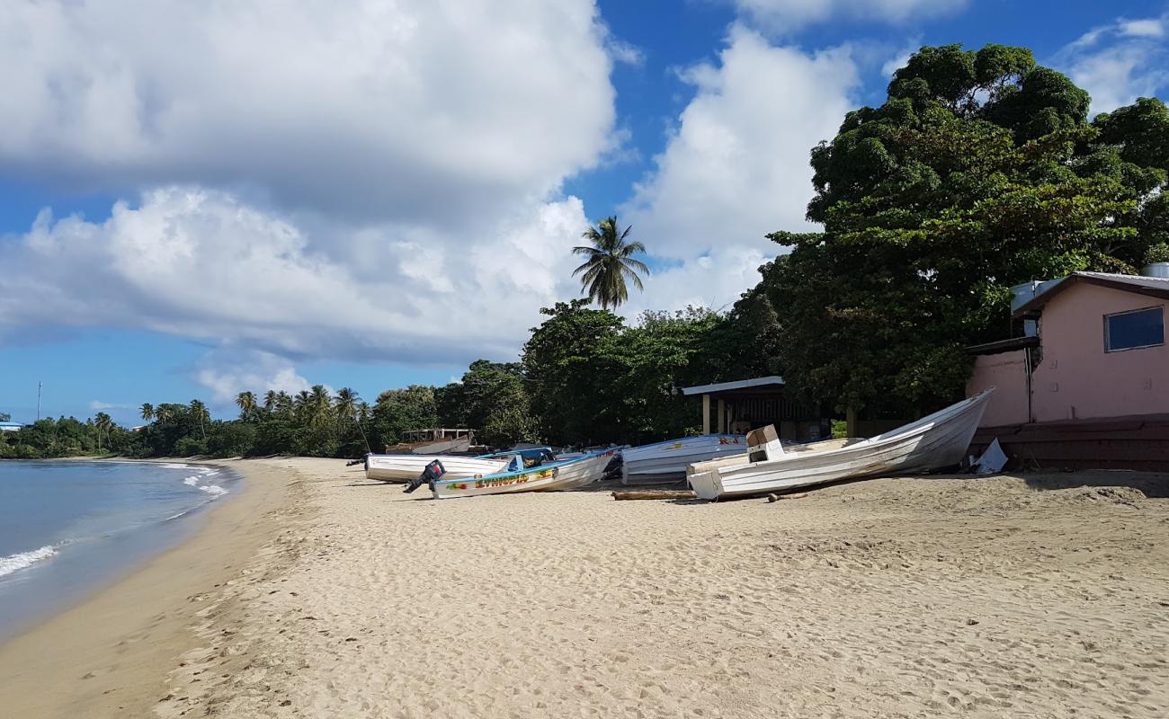 Фото Great Courland Bay beach с светлый песок поверхностью