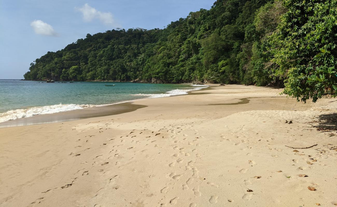 Фото Pirate's Bay beach с золотистый песок поверхностью